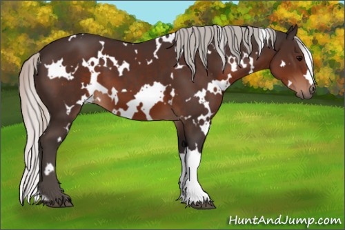 Horse Color:White Spotted Silver Brown 