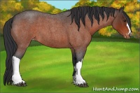 Horse Color:Brown Roan Varnish 