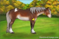 Horse Color:White Spotted Silver Brown Varnish 
