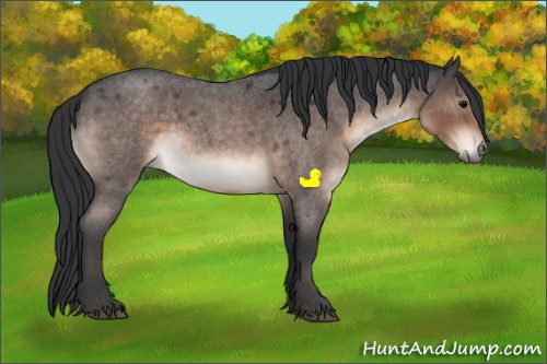 Horse Color:Brown Roan Sabino Rabicano