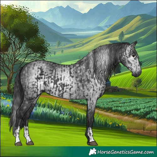 Horse Color:Black and Gray Black
