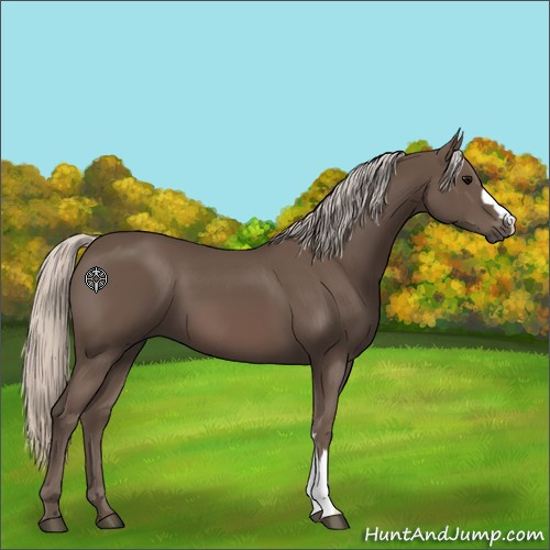Horse Color:Silver Black