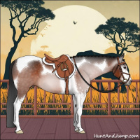 Horse Color:Gray Brown Sabino Tobiano