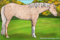 Horse Color:Silver Sable Champagne Ice 