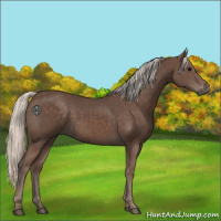 Horse Color:Silver Black 