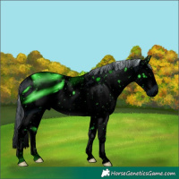 Horse Color:ERROR: UNKNOWN ANOMALY