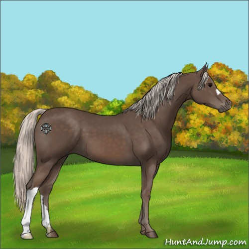 Horse Color:Silver Black 
