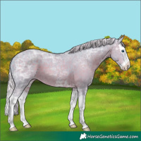 Horse Color:Watercolor Silver Black Ice Splash 
