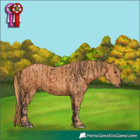 Horse Color:White Spotted Bay  Brindle