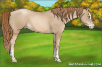 Horse Color:Smoky Black Pearl and Smoky Black Pearl Splash