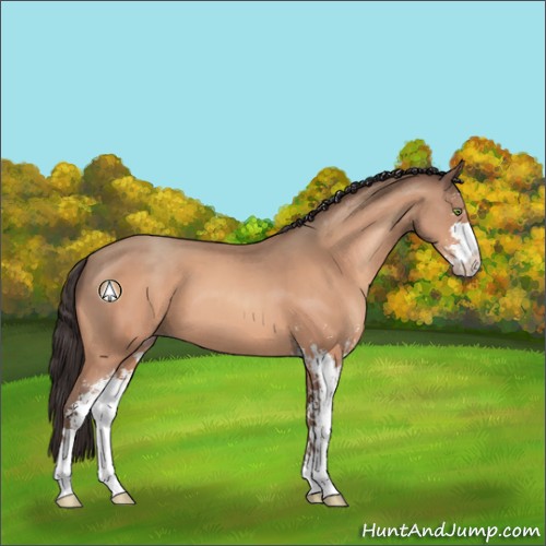 Horse Color:Sable Champagne Sabino 