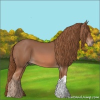 Horse Color:Chestnut Tobiano 