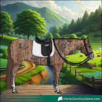 Horse Color:Black  and Classic Champagne 