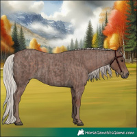 Horse Color:Silver Black  and Silver Blue Roan 