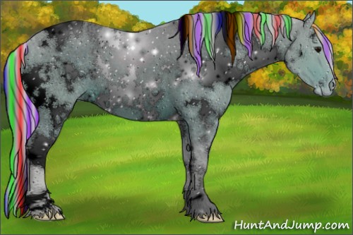 Horse Color:ERROR: UNKNOWN ANOMALY