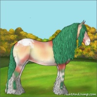 Horse Color:Watercolor Bay Onyx Appaloosa Rabicano 