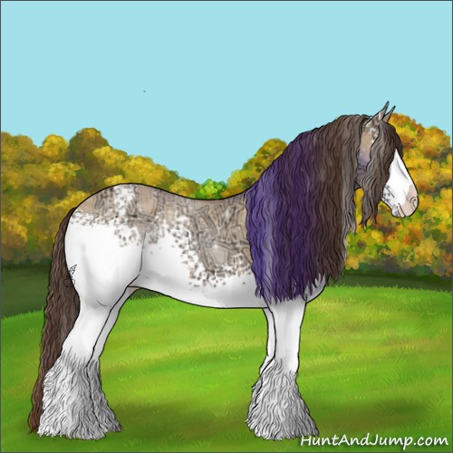 Horse Color:White Spotted Bay Ice Dun Appaloosa 