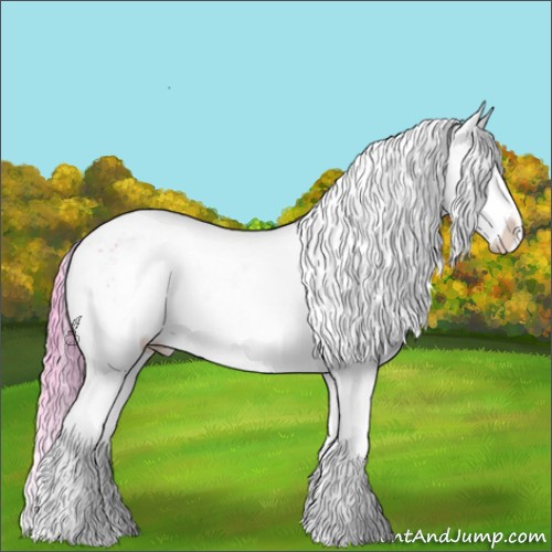 Horse Color:Watercolor White Spotted Brown Varnish 