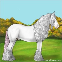 Horse Color:Watercolor White Spotted Brown Varnish 
