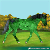 Horse Color:ERROR: UNKNOWN ANOMALY