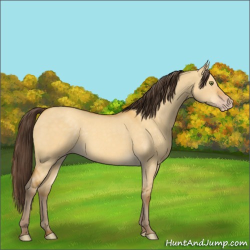 Horse Color:Sable Cream Champagne Dun 