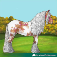 Horse Color:Plaid  White Spotted Silver Bay 