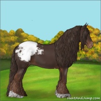 Horse Color:Liver Chestnut Tobiano Snowcap 