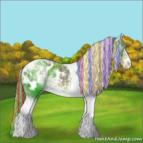 Horse Color:Painted White Spotted Chocolate Palomino Tobiano Appaloosa Rabicano