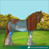 Horse Color:Painted White Spotted Chestnut Tobiano 