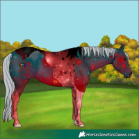 Horse Color:ERROR: UNKNOWN ANOMALY
