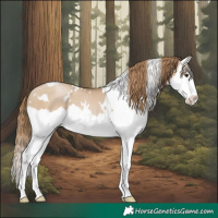 Horse Color:White Spotted Grullo Pearl Splash 