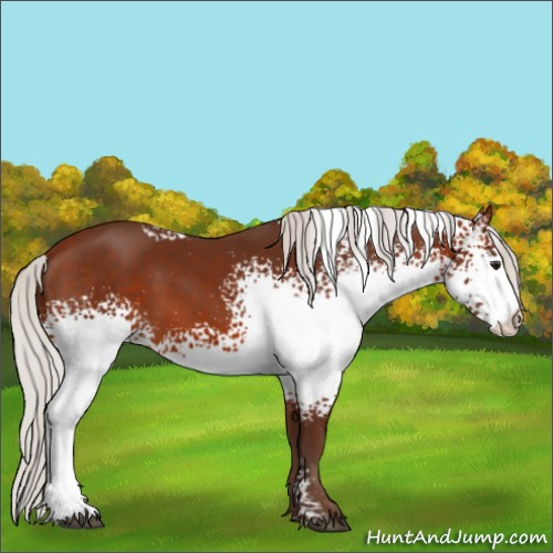 Horse Color:White Spotted Silver Brown 