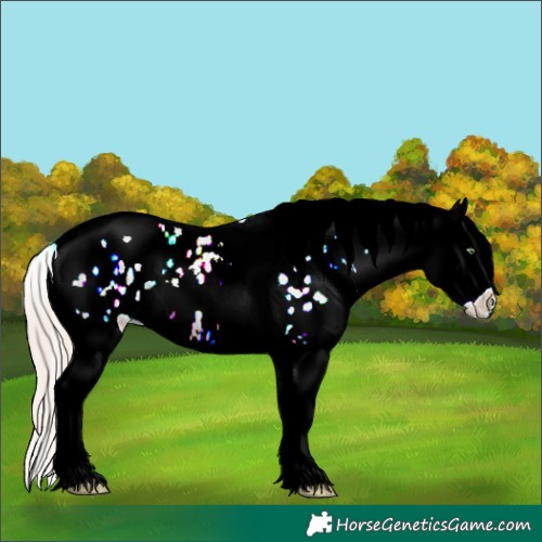 Horse Color:Gold Champagne Ice Dun Tobiano Appaloosa Rabicano 