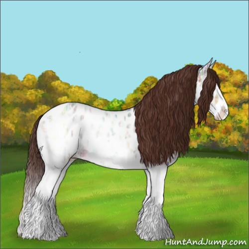 Horse Color:Brown Ice Onyx Splash Appaloosa Rabicano 