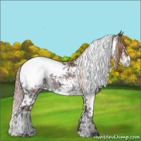 Horse Color:Brown Ice Snowdrop Pearl Sabino Tobiano Frame Snowcap 