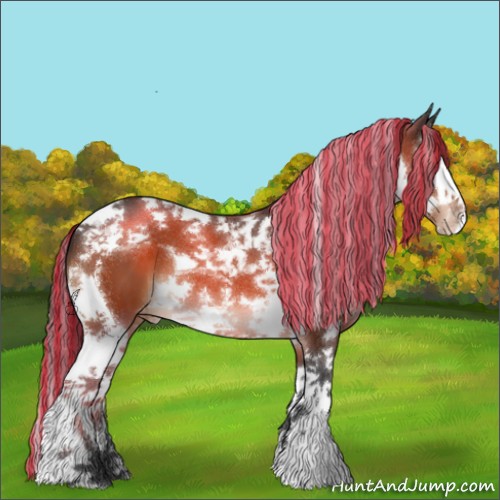 Horse Color:Painted Brown Splash Tobiano Appaloosa 
