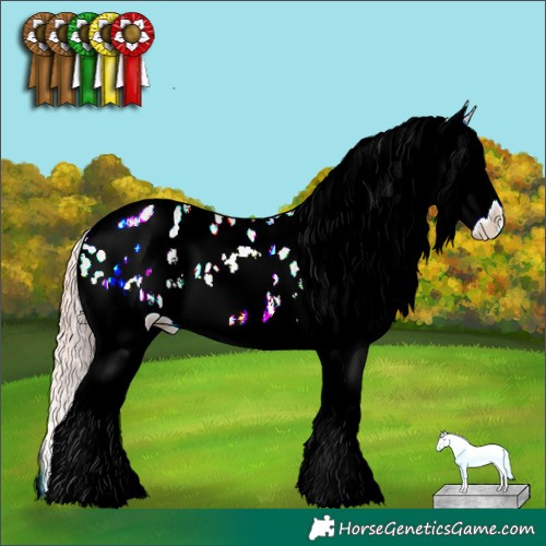 Horse Color:Gold Champagne Ice Pearl Onyx Sabino Splash Appaloosa 