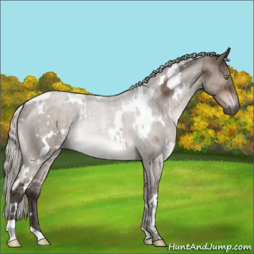 Horse Color:White Spotted Silver Brown Dun Mushroom Rabicano