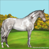 Horse Color:White Spotted Silver Brown Dun Mushroom Rabicano 