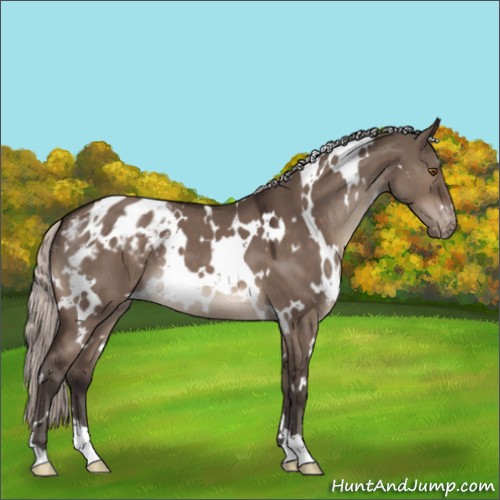 Horse Color:White Spotted Silver Brown Dun Mushroom Varnish