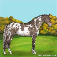 Horse Color:White Spotted Silver Brown Dun Mushroom Varnish 