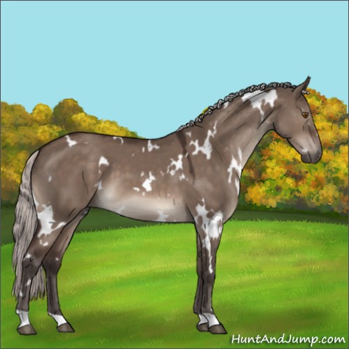 Horse Color:White Spotted Silver Brown Dun Mushroom 