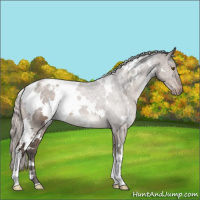 Horse Color:White Spotted Silver Brown Dun Mushroom Varnish 