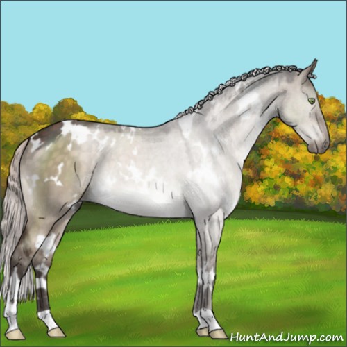 Horse Color:White Spotted Silver Brown Dun Mushroom 