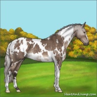 Horse Color:White Spotted Silver Brown Dun Mushroom 