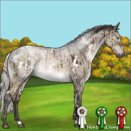 Horse Color:White Spotted Silver Brown Dun Mushroom Brindle 