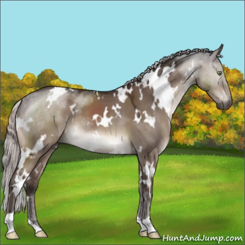 Horse Color:White Spotted Silver Brown Dun Mushroom 