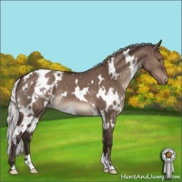 Horse Color:White Spotted Silver Brown Dun Mushroom Varnish 