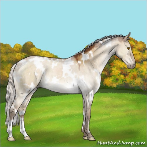 Horse Color:White Spotted Silver Buckskin Dun Mushroom 