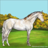 Horse Color:White Spotted Silver Buckskin Dun Mushroom 